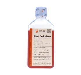 Stem cell MaxA