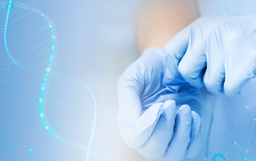 M生物智慧库 第3期 | 哺乳动物细胞培养基中的氨基酸