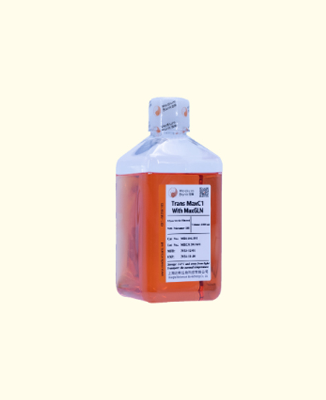新品首发：Trans MaxC1 With MaxGLN 助力CHO细胞短时间内高效瞬时表达