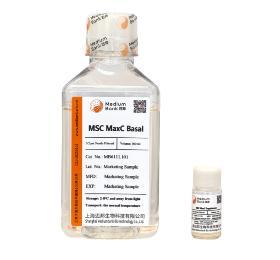 CD MSC MaxB