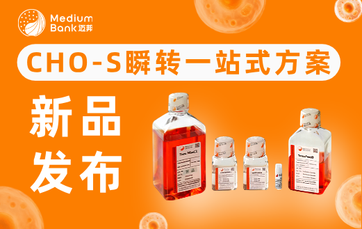瞬转产质跃升法：CHO-S 高产量优质量的体系与应用策略