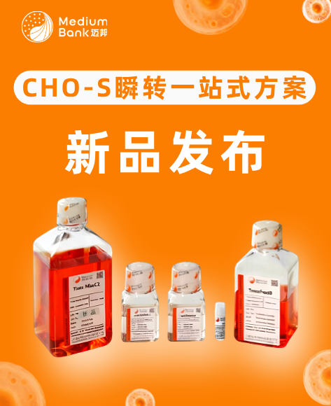 瞬转产质跃升法：CHO-S 高产量优质量的体系与应用策略