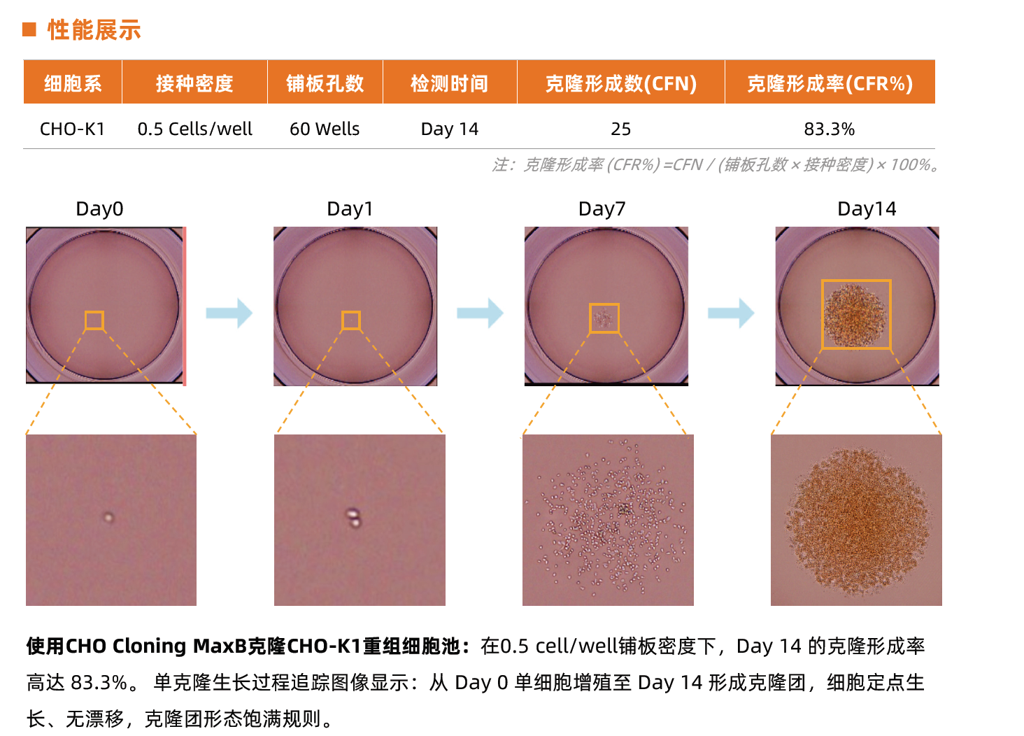 CHO Cloning MaxB (图1)