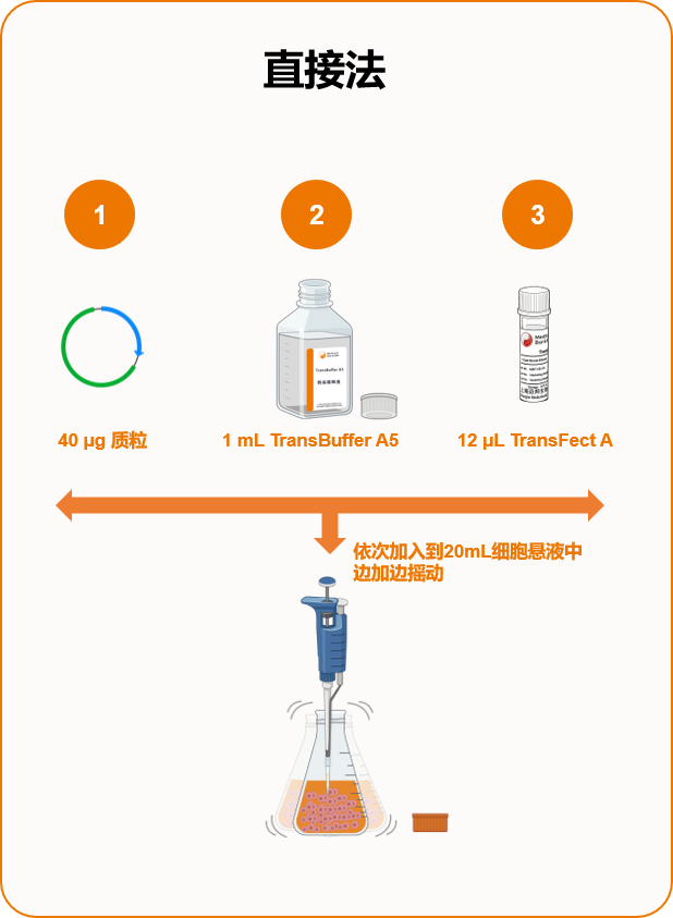 瞬转产质跃升法:CHO-S 高产量优质量的体系与应用策略(图10)
