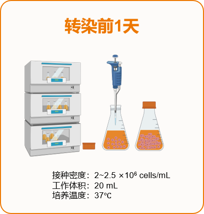 瞬转产质跃升法:CHO-S 高产量优质量的体系与应用策略(图9)