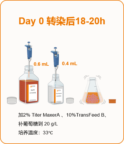 瞬转产质跃升法:CHO-S 高产量优质量的体系与应用策略(图11)